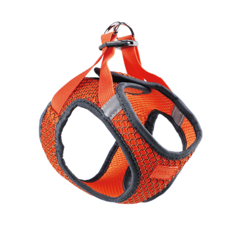 Harness for Dogs